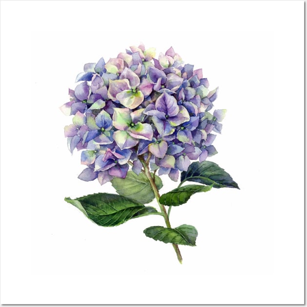 Hydrangea Wall Art by Elena_Vavilina